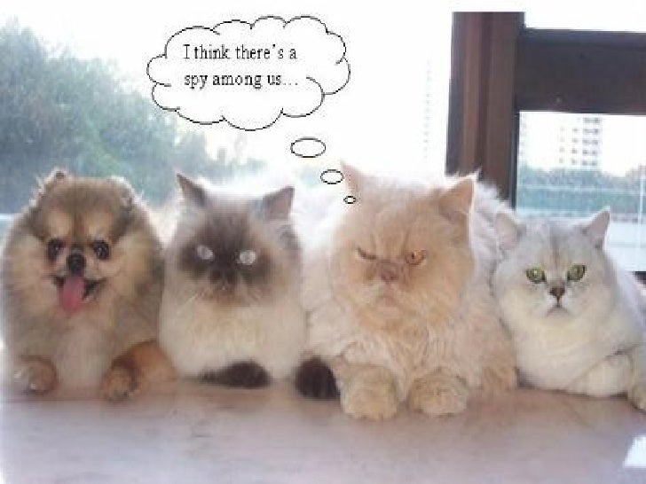 Spies Among Us